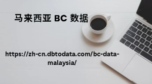 马来西亚 BC 数据