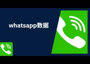 whatsapp数据